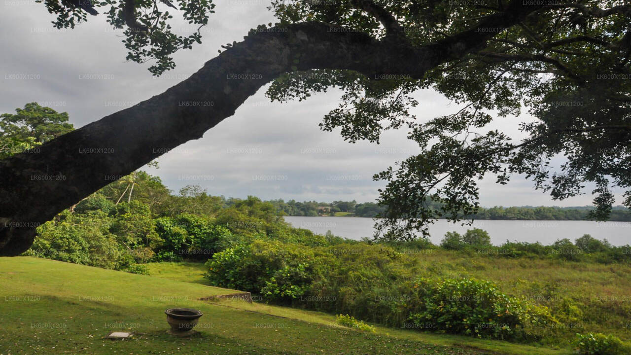 Bentota City Tour from Hikkaduwa