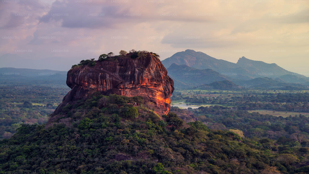 Sigiriya Rock and Village Tour from Sigiriya