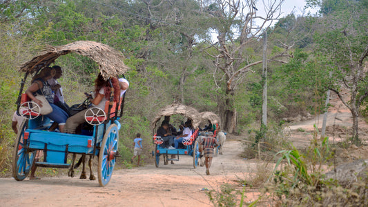 Sigiriya Rock and Countryside from Sigiriya