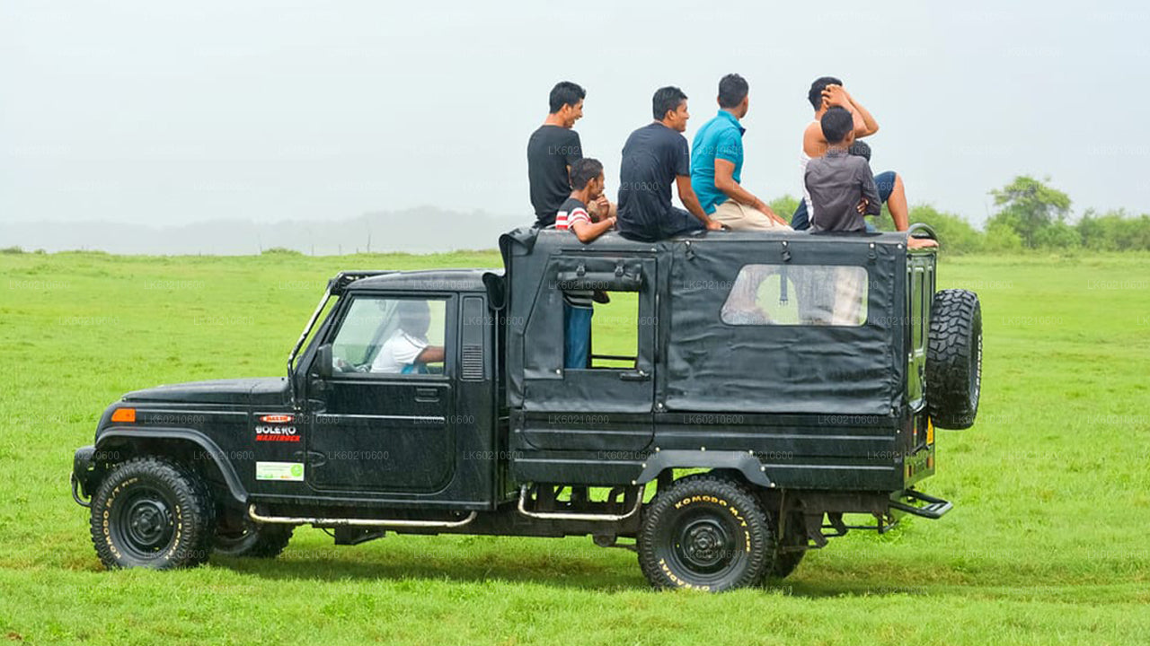 Bundala National Park Safari from Tangalle