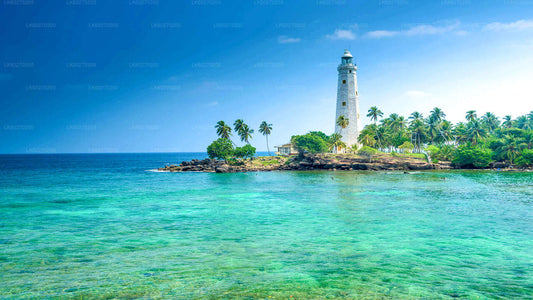 Dondra Head Lighthouse surrounded by palm trees and turquoise ocean waters in southern Sri Lanka under a bright blue sky.