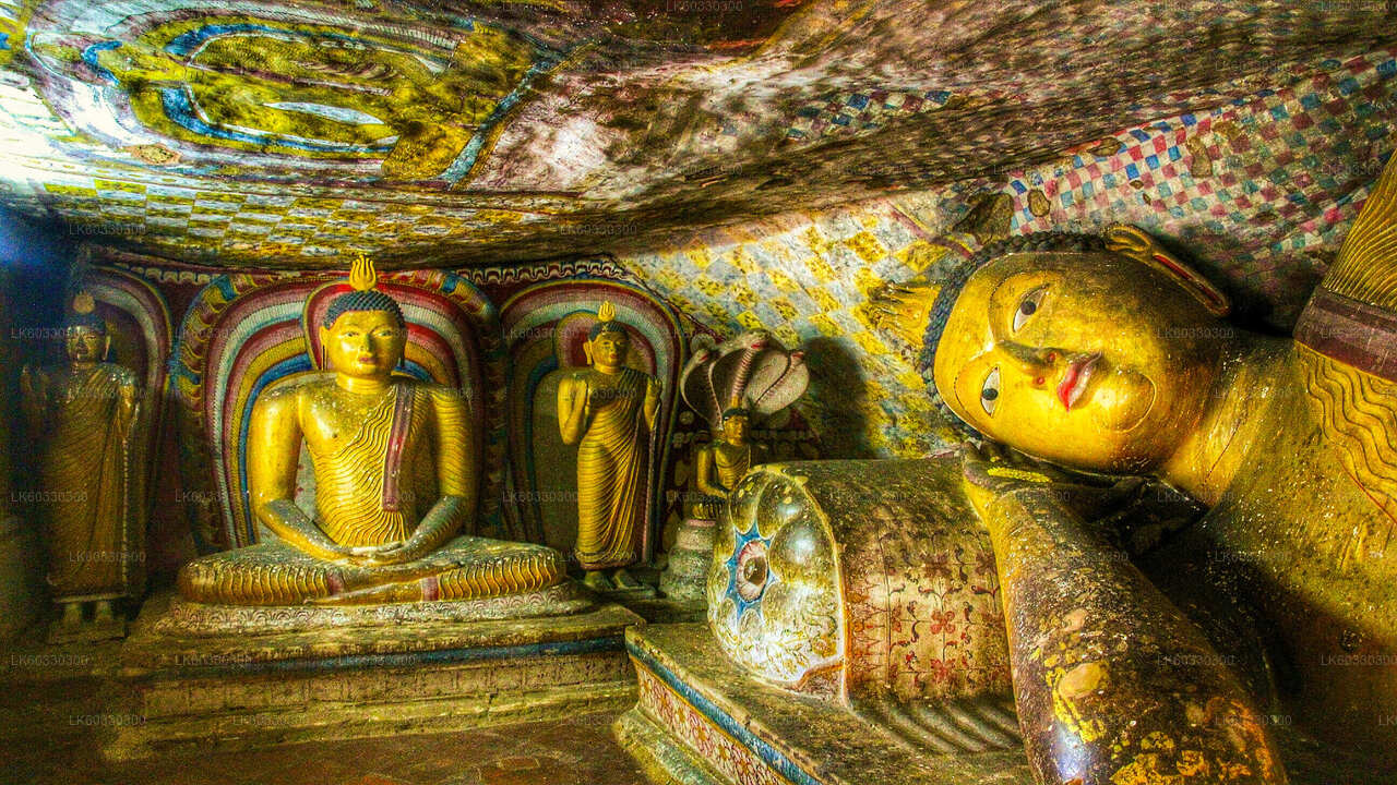 Sigiriya, Dambulla and Village Tour from Colombo