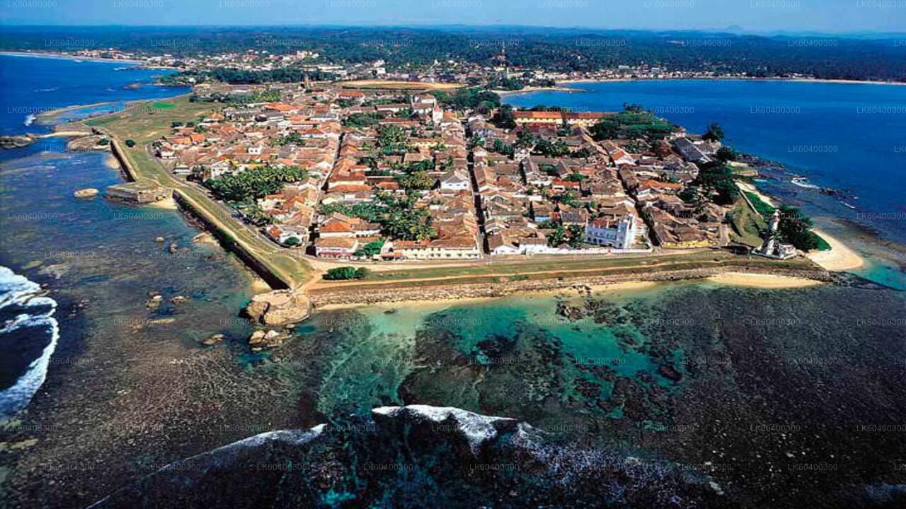 Southern Coast Highlights from Ahungalla