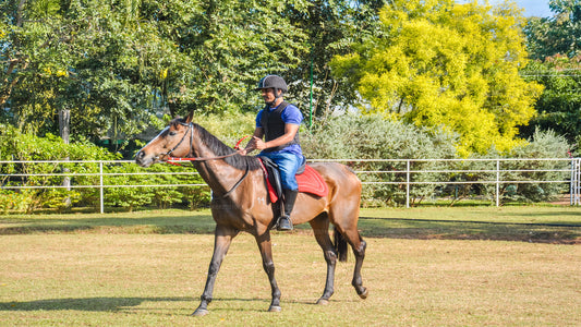 Horse Riding for Beginners from Sigiriya