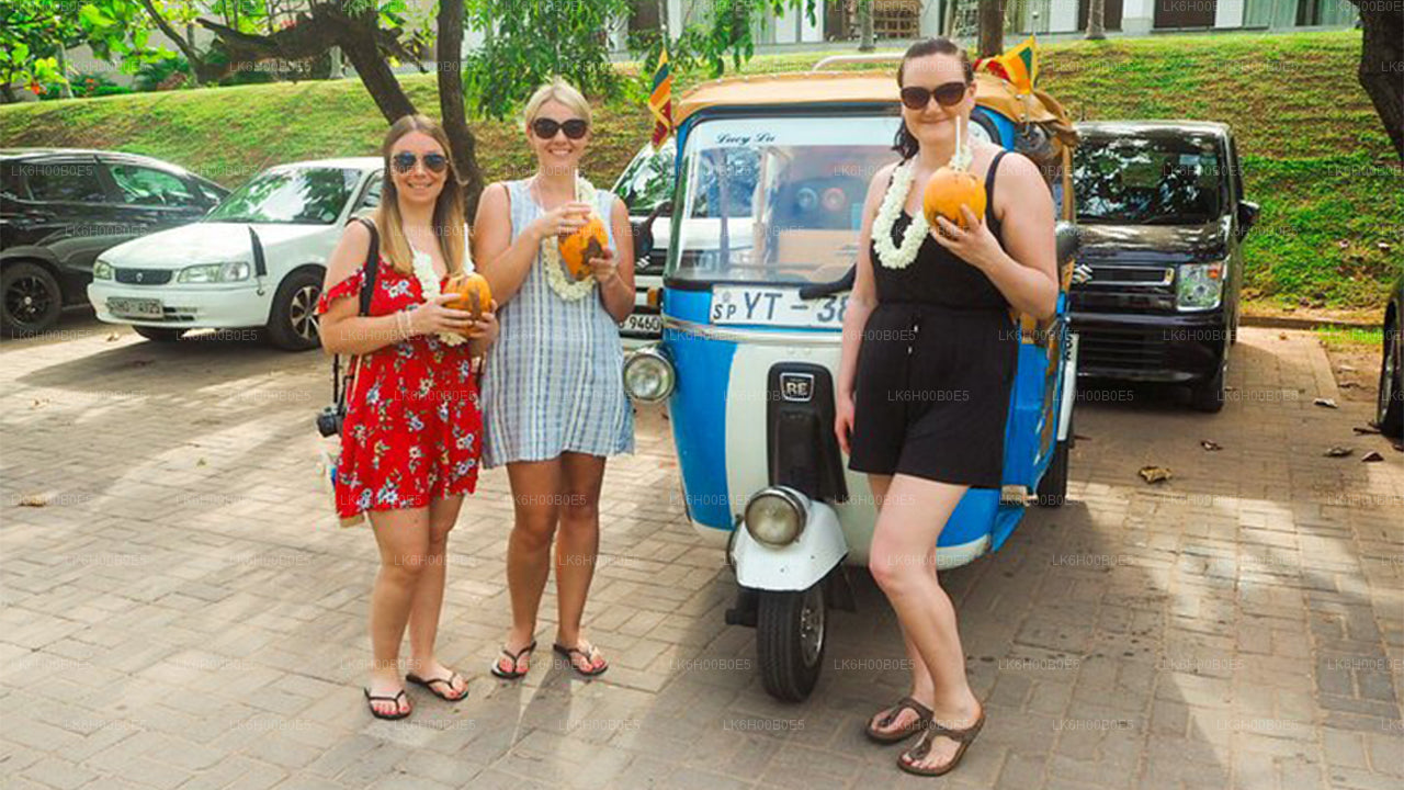 Dikwella Tuk Tuk Safari