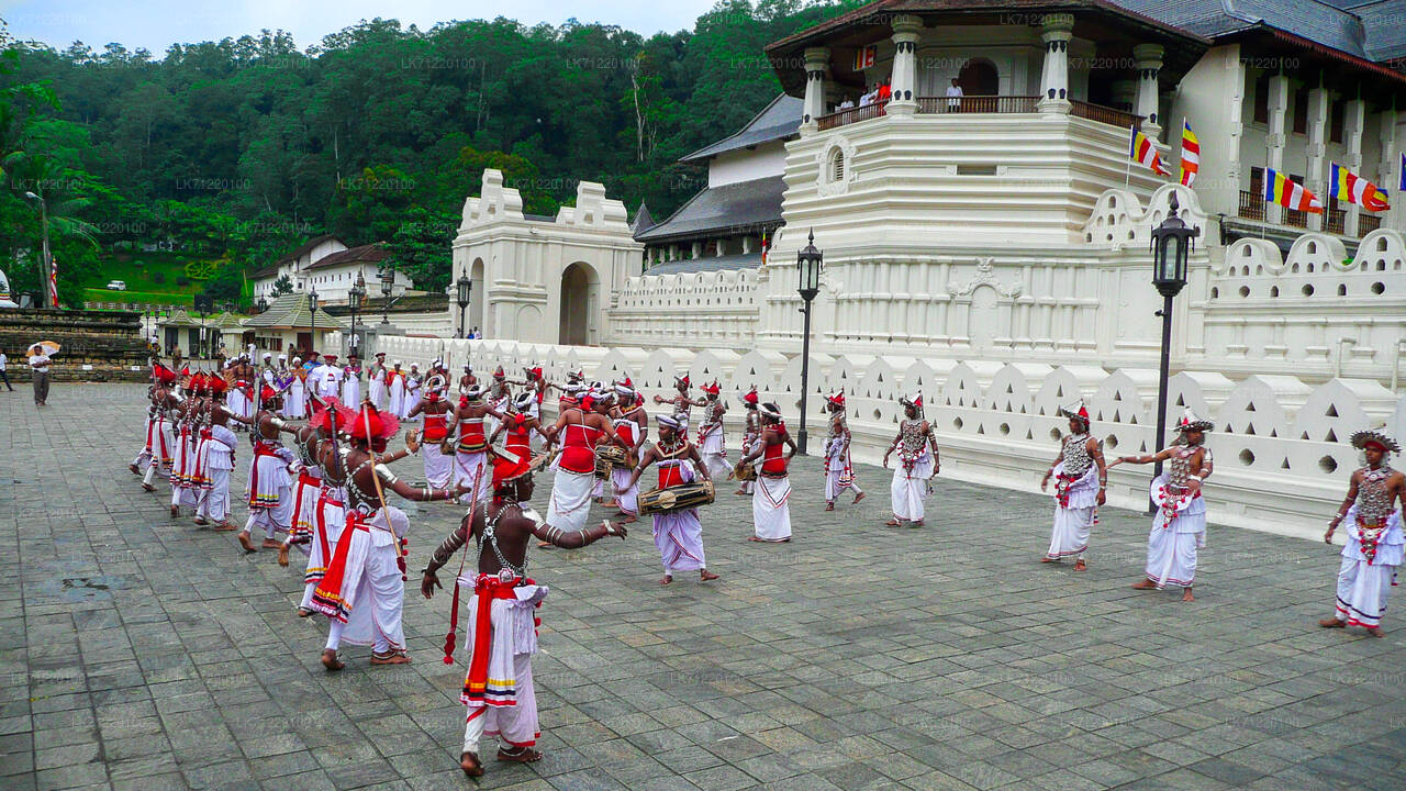 Temple of The Sacred Tooth Relic Entrance Tickets