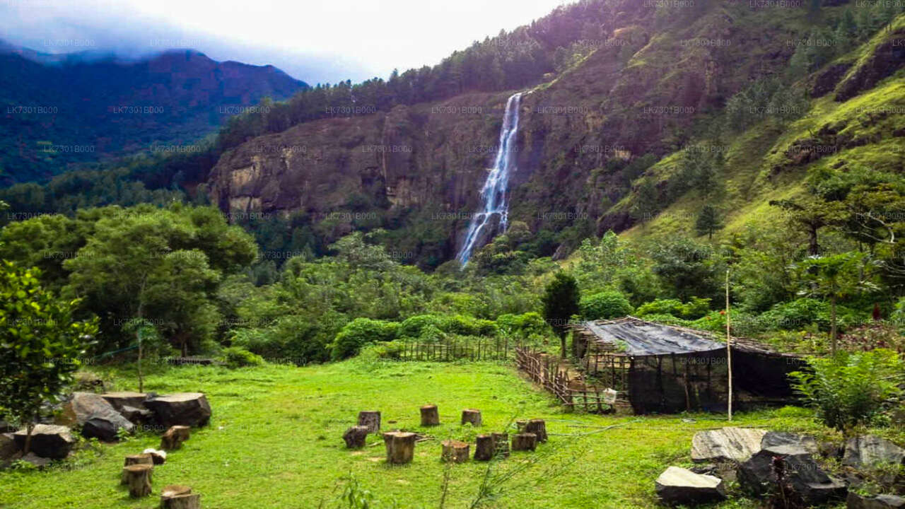 Camping at Wangedikanda and Hike to Bambarakanda Falls from Colombo (2 Days)