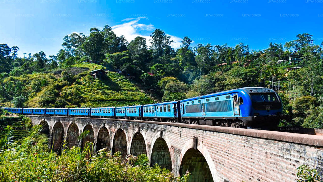 Nanu Oya to Kandy train ride on (Train № 1006 "Podi Menike")