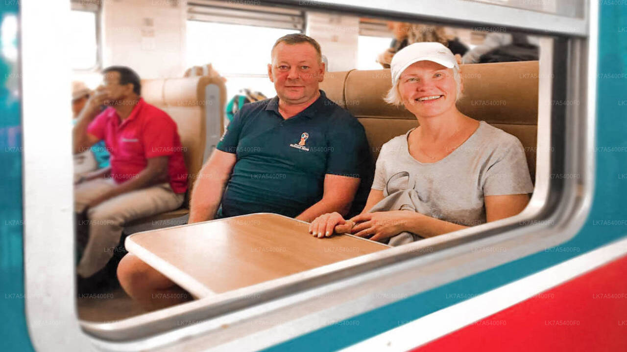 Ella to Nanu Oya train ride on (Train № 1002 "Denuwara Menike")