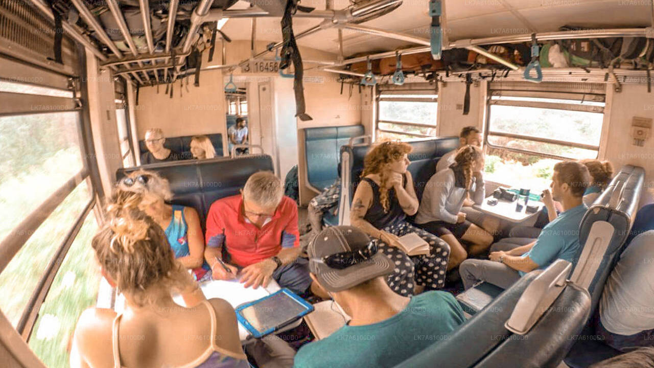 Badulla to Colombo train ride on (Train № 1016 "Udarata Menike")