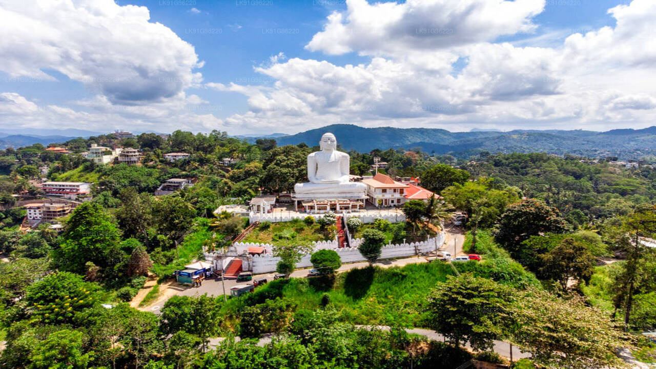 Discover Kandy by Helicopter from Ratmalana