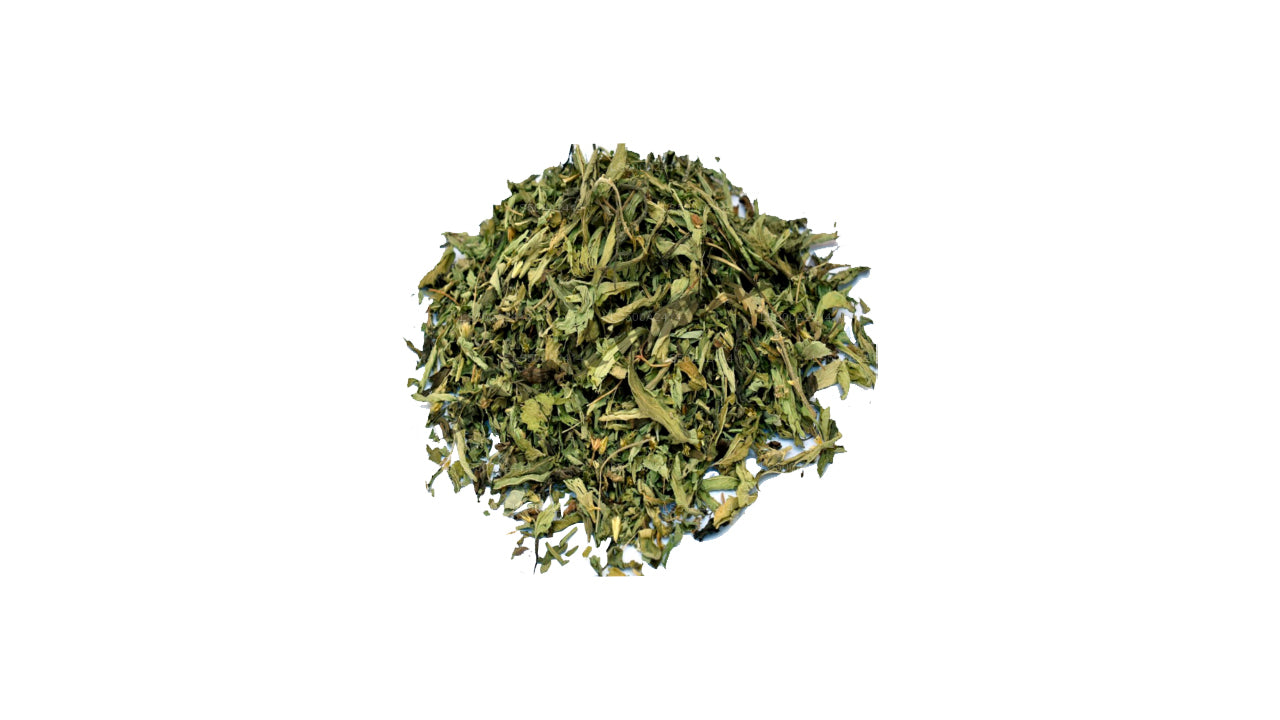 Feuilles de pawatta (Justicia Adhatoda) déshydratées Lakpura (100 g)